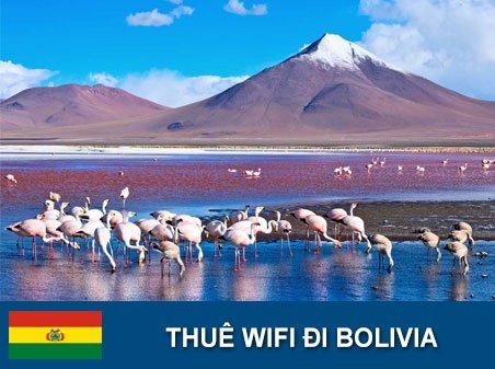 thuê wifi đi bolivia