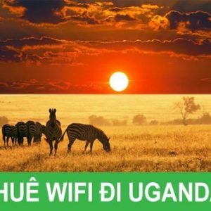 thuê wifi đi uganda