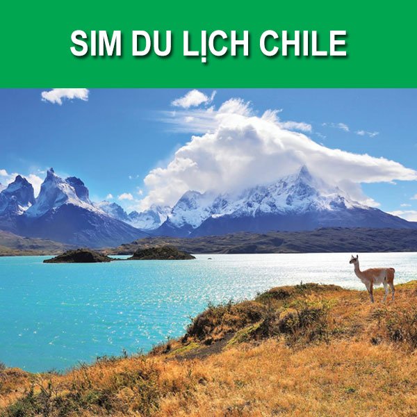 Sim du lịch Chile