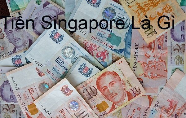 Tiền Singapore Là Gì ? Có Những Loại Tiền Gì, Mệnh Giá Ra Sao ?