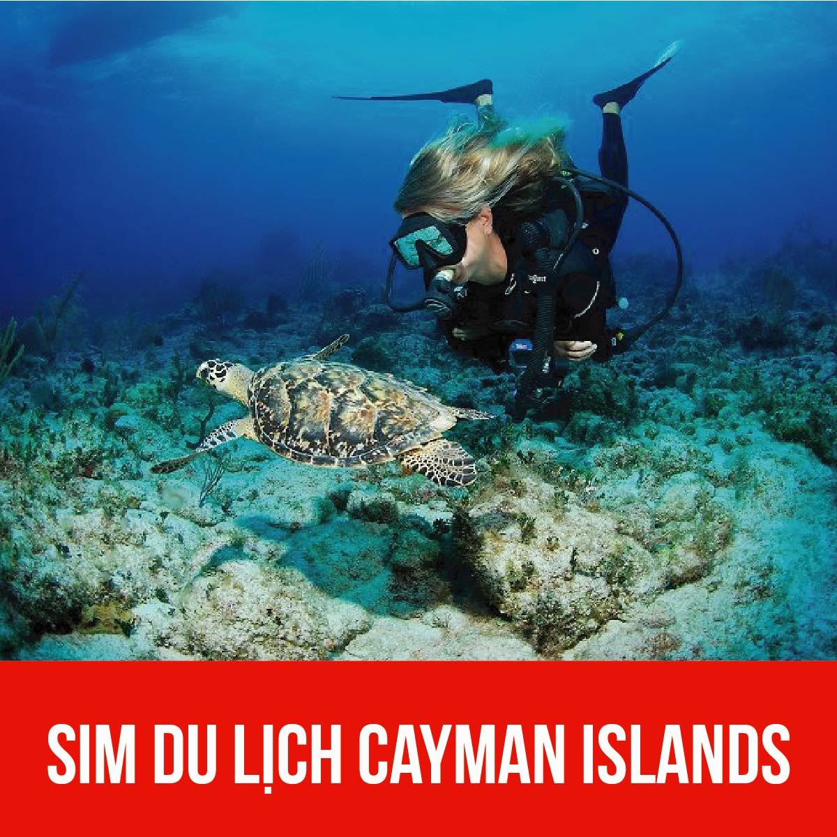 sim-Cayman-Islands